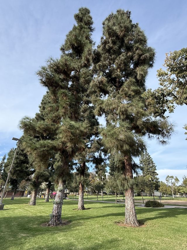 6日穿越美國 要去景點大揭秘