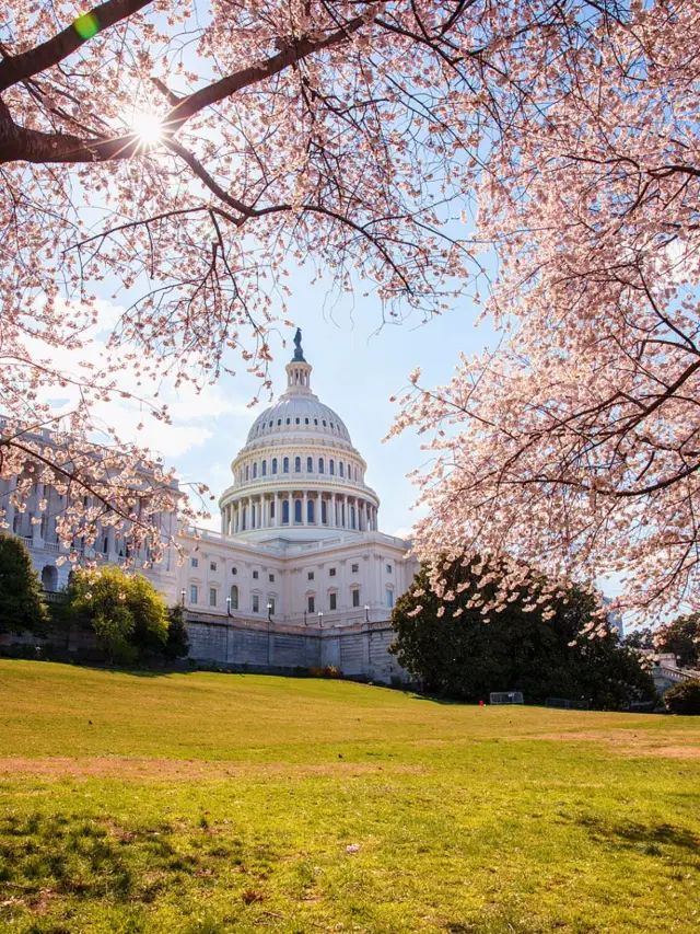 A 6-Day Journey Across the US: Unveiling Must-See Attractions