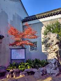 蘇州嚴家花園丨隱藏在古鎮裡的江南園林