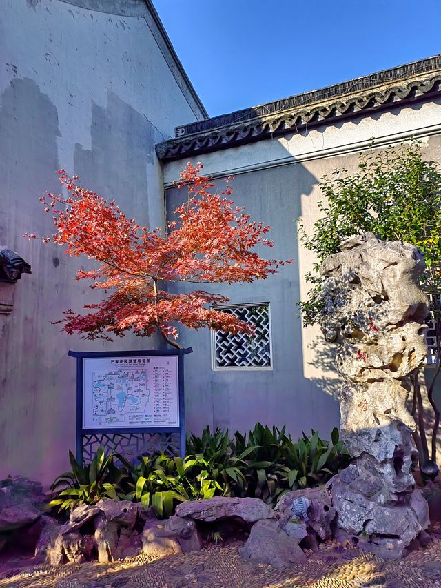 蘇州嚴家花園丨隱藏在古鎮裡的江南園林