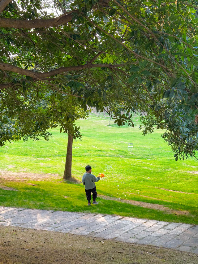 成都睇熊貓必住！同大熊貓做鄰居係咩感受？