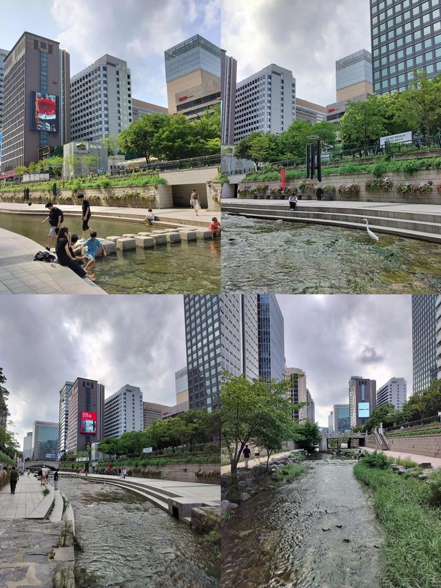韓國洪川郡：小眾寶藏旅行地