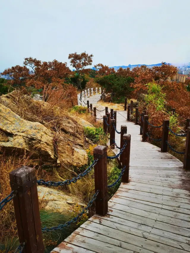 Qingdao-Weihai-Yantai 5-Day Tour: A Must-Save Guide to Exploring the Shandong Coastline