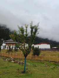 清明假期 林芝旅行攻略來襲