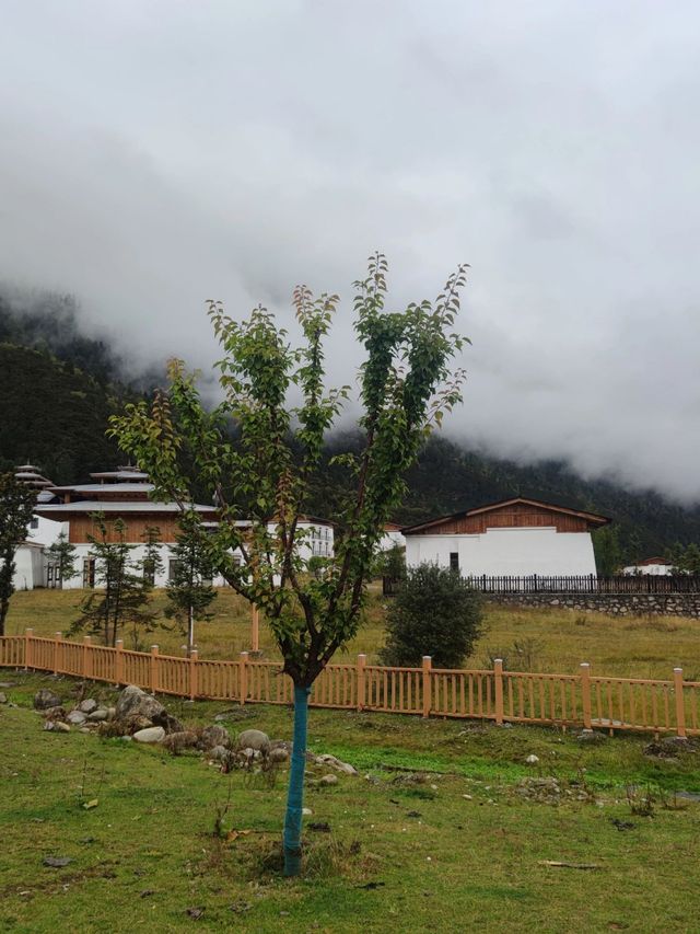 清明假期 林芝旅行攻略來襲