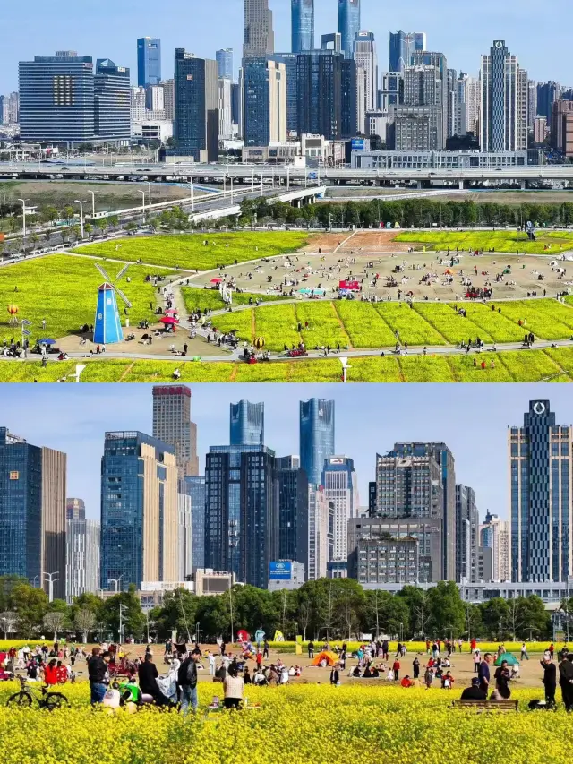 Romantic and stunning! Here's your guide to spring flower viewing in Nanchang!