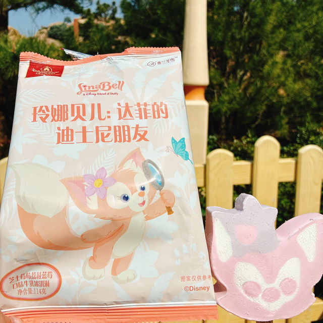 上海ディズニーランド！