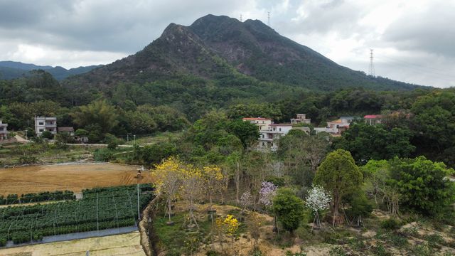 爬到腳軟！鶴山昆侖山魔鬼陡坡挑戰，我差點爬到想嘔