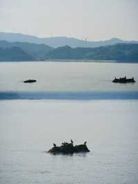 日本紀伊半島之旅｜和歌山湯淺町單車遊