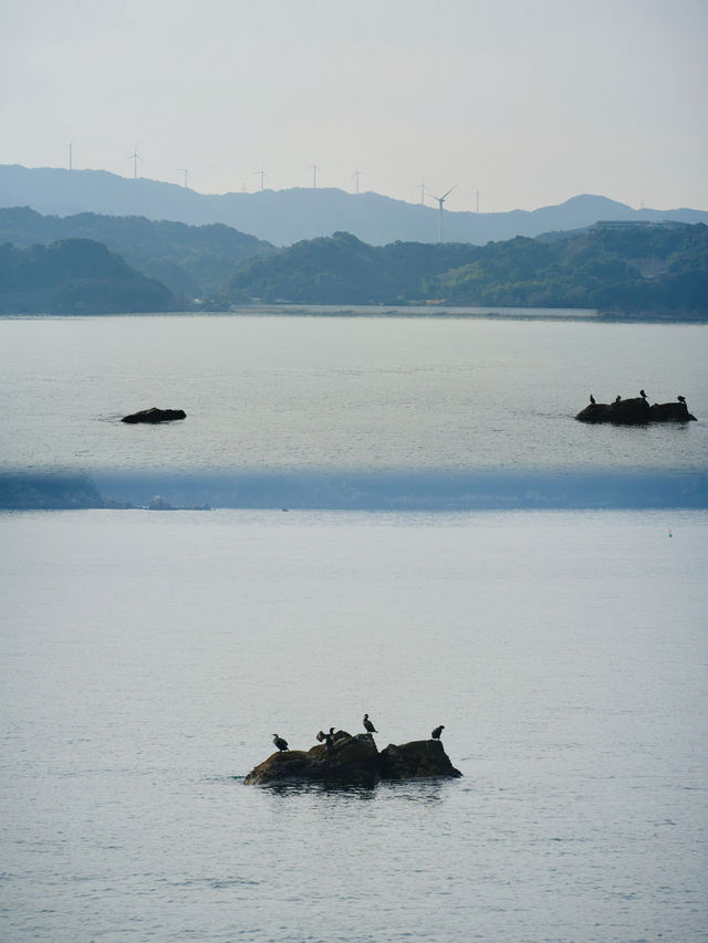 日本紀伊半島之旅｜和歌山湯淺町單車遊