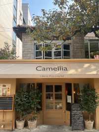 首爾延南洞探店 | Camellia，氛圍感拉滿