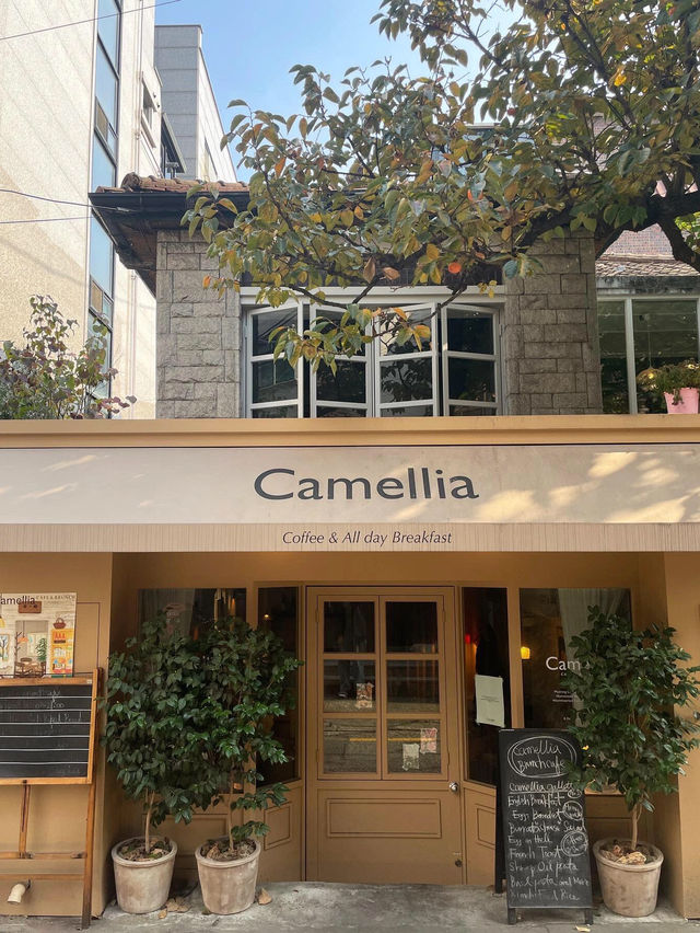 首爾延南洞探店 | Camellia，氛圍感拉滿