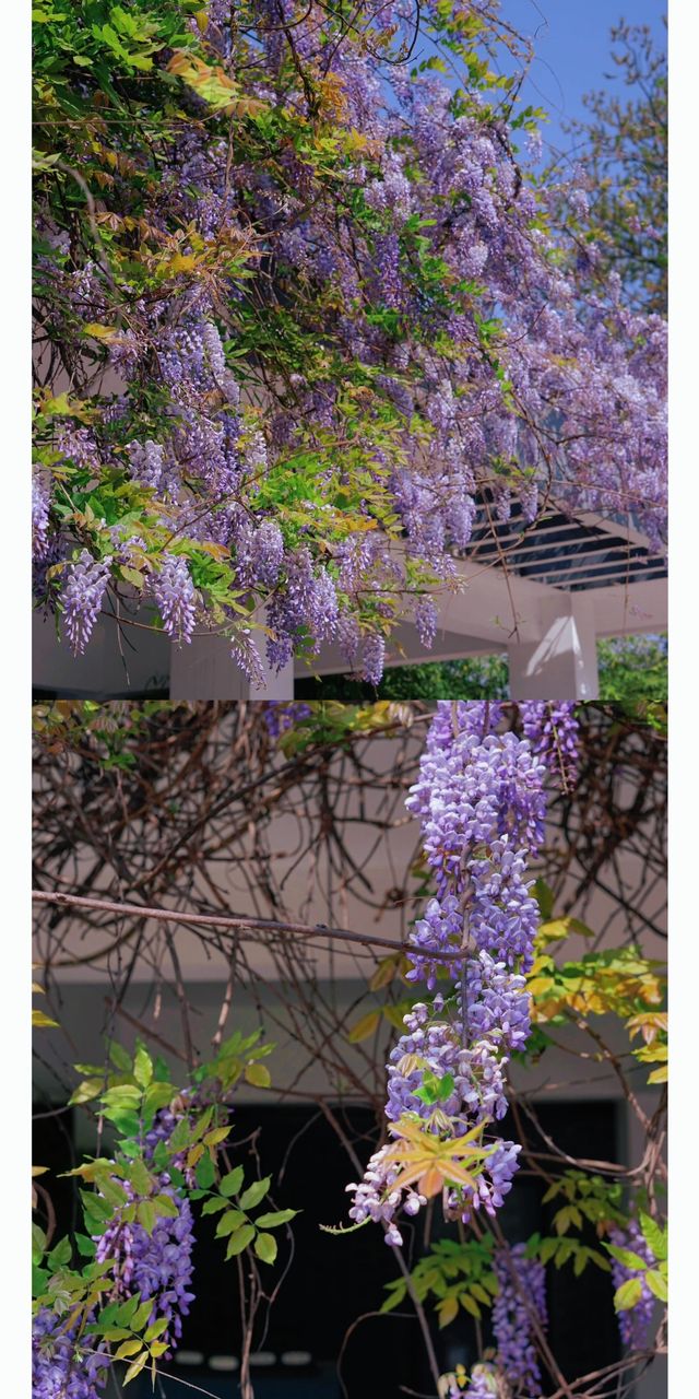 出乎我意料進來之後別想走，看不夠呀