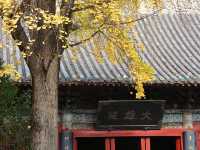 河南洛陽名剎「白馬寺」