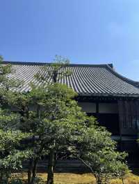 石垣島桃林寺賞櫻攻略彷彿置身粉色隧道超浪漫