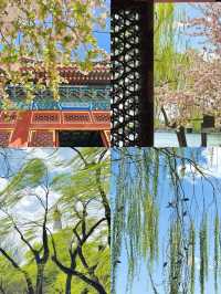 穿越千年皇家園林，邂逅北海公園的浪漫與詩意