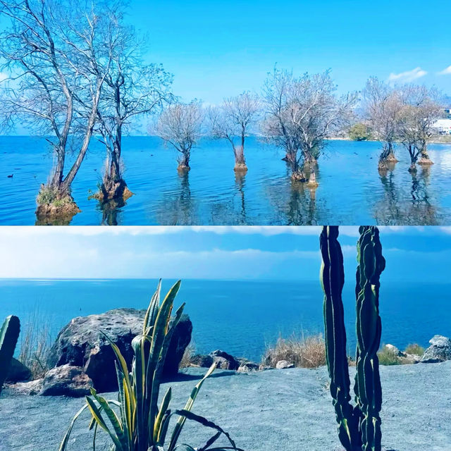 洱海唔係海，卻美過所有海！2025《最新環海攻略》