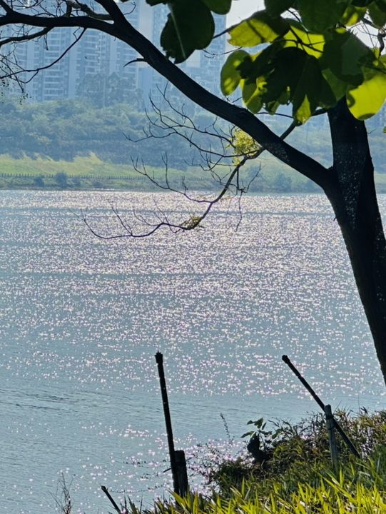 南寧紅豆濱江公園：野餐邂逅自然之美