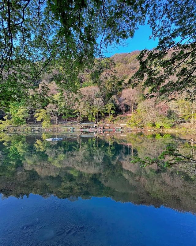 京都必打卡景點攻略，一篇解鎖古都的秘密
