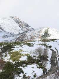🇯🇵去過立山黑部，人生就沒有遺憾！附攻略