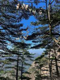 黃山：在奇峰雲海中觸摸千年徽韻
