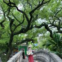 中山公園的20分鐘公園效應🍃