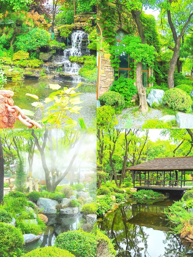 沈陽旅行第一天朋友圈問瘋了以為我出國了