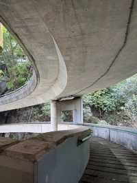 Central To Admiralty - Experience The Concrete Jungle Of Hong Kong 