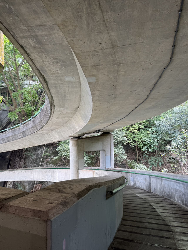 Central To Admiralty - Experience The Concrete Jungle Of Hong Kong 