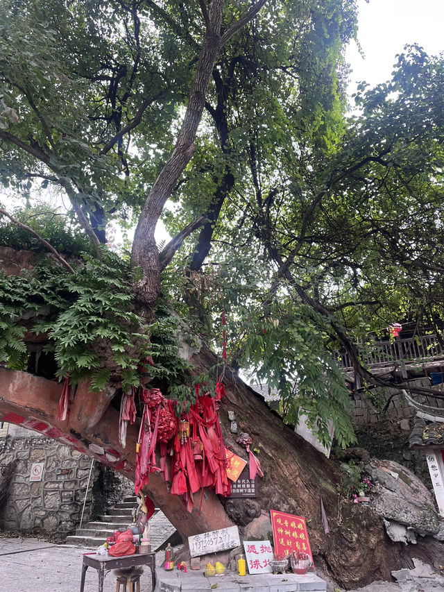 🏮穿越時光！懷化荊坪古村