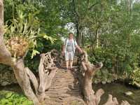Dream Day at Chenshan Botanical Gardens
