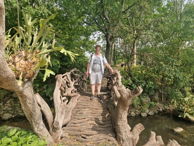 Dream Day at Chenshan Botanical Gardens