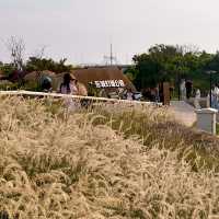 泉州小眾目的地，石獅海岸線一日遊
