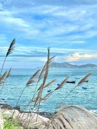 南麂島 | 2025超全避坑指南，睇完再出發！