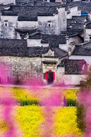 Huangshan 3-Day Tour: Explore the Full Panorama Without Wasting Time