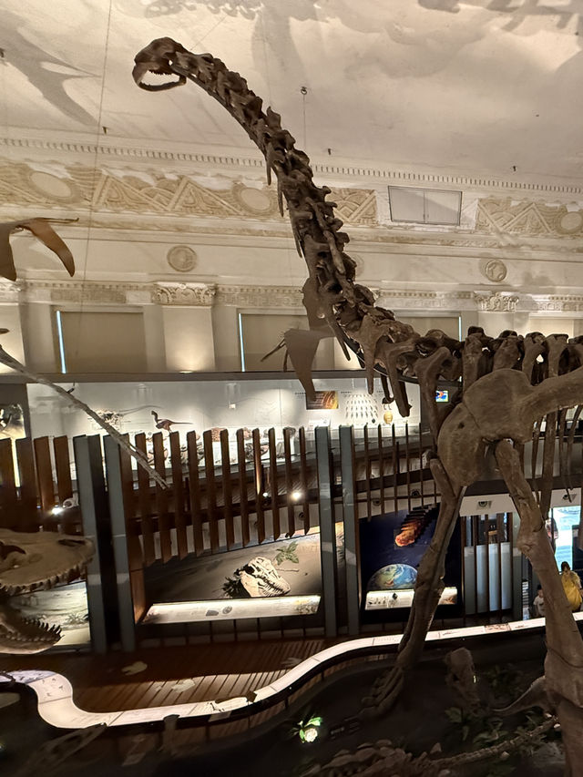 Roar-some Dinosaur Exhibits At The Natural History Museum Of Taiwan 