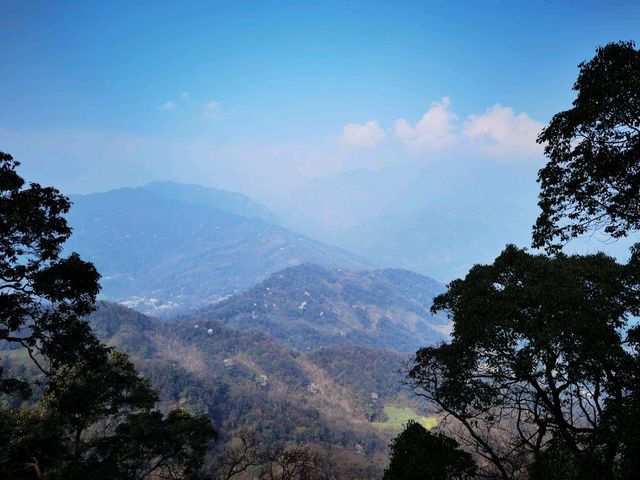 青城山旅行攻略|道教聖地與自然奇觀的完美交融 青城山旅行攻略|道教聖地與自然奇觀的完美交融