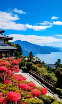 阿里山景點攻略
