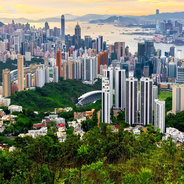 澳門跨境香港交通打卡｜港島徑畢拿山：抹茶蛋糕味的天空之城🍃