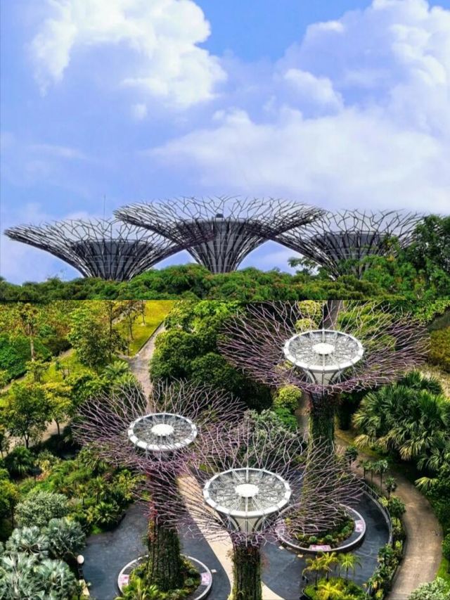 去新加坡旅行要預備幾多錢