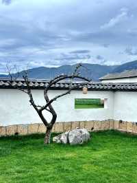 沙溪｜呢間中式庭院真係住入我心坎！人均100