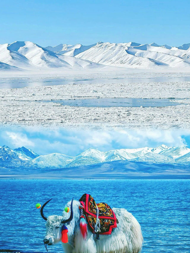 西藏……旅行記：