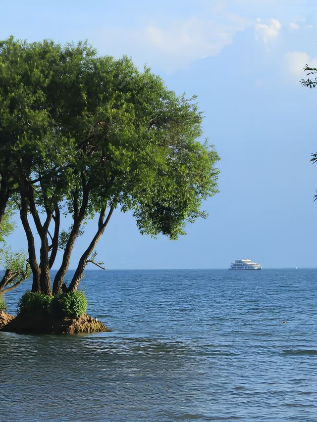 海邊嘅風，午後嘅雲，呢度係舒適度極高嘅親水海景民宿