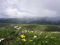 From Ganzi to Luhuo: How to turn 100 km of road into a day of unforgettable experiences