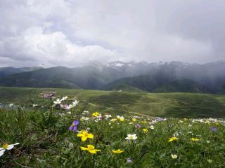 From Ganzi to Luhuo: How to turn 100 km of road into a day of unforgettable experiences