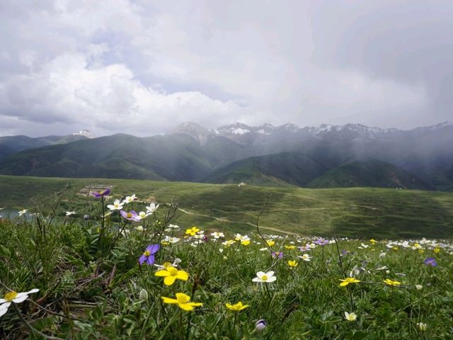 From Ganzi to Luhuo: How to turn 100 km of road into a day of unforgettable experiences