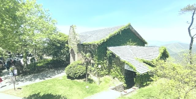 竹海深處，偷得浮生半日閒