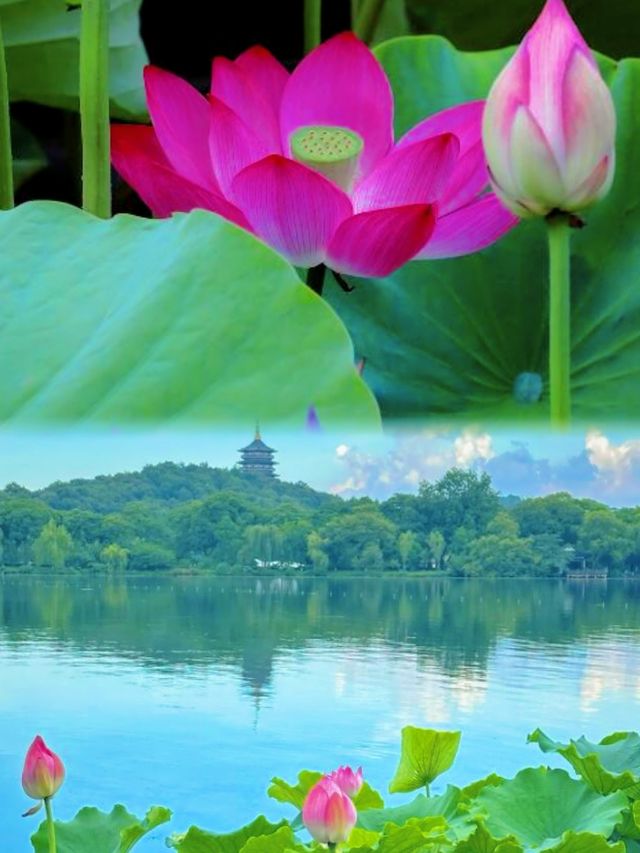 杭州玩咗三日，我嘅消費觀真係崩潰咗