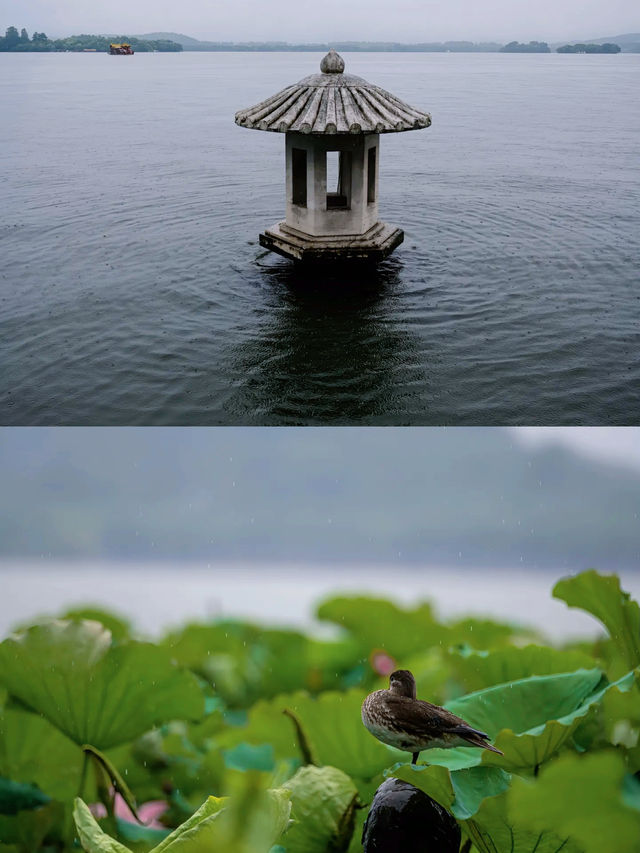 浙江·杭州｜步入江南