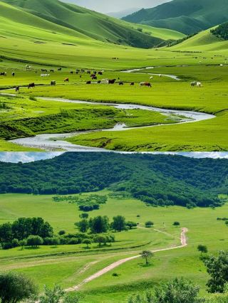 Giving up on Xinjiang, taking the kids to 22℃ Ulan Butong for summer vacation